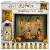 Harry Potter Led varázsital lámpalánc